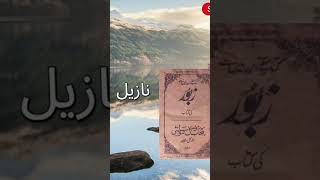 IMPORTANT BOOKS 📚 🤩🤩😍😍😱😱 #shortsfeed ##viral ###knowledge ##islam ##viralSHORTS