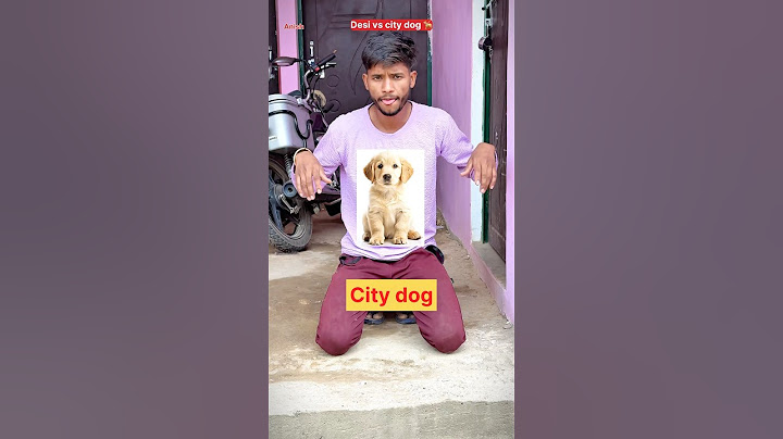 Street dog vs pet dog 🔥🤪 #trendingshorts #virelshorts #youtubeshorts #comedyshorts #shorts￼
