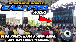 The New Cali Pro Audio (SUMCAS) Upgraded to D21 (16PCS.) Loudspeakers of KKE Electronics