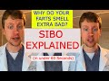 SIBO Small Intestine Bacterial Overgrowth Explained In 60 Seconds SIBO Small Intestine Bacterial Overgrowth Explained In 60 Seconds