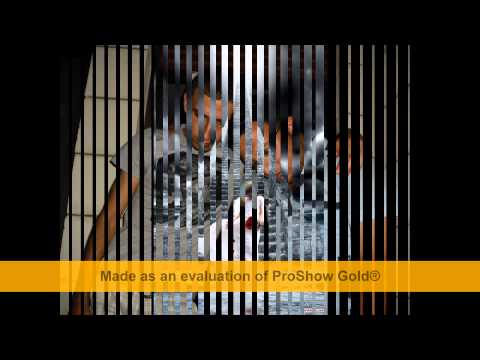        ريان مابدي شي وسيم النجار