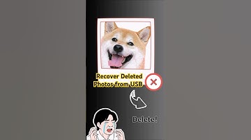 How to Recover Deleted Photos from USB Flash Drive #recoverphotos #deletedphotos