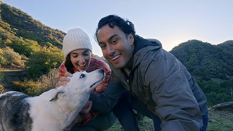 Leave windshield damage to the pros at Safelite