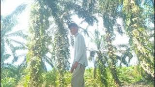 Kesetiaan tiada arti