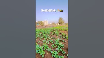 1/30 day video upload challenge ❤️ #challenge #ytshots #farming