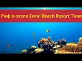 Риф в отеле Coral Beach Resort Tiran