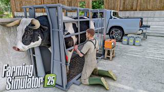 BULL Breeding Farm from Scratch (realistic production of bull semen) | FS25