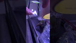 Unconventional use of 3M Interior Transparent Weather Sealing Tape, but it works so well!