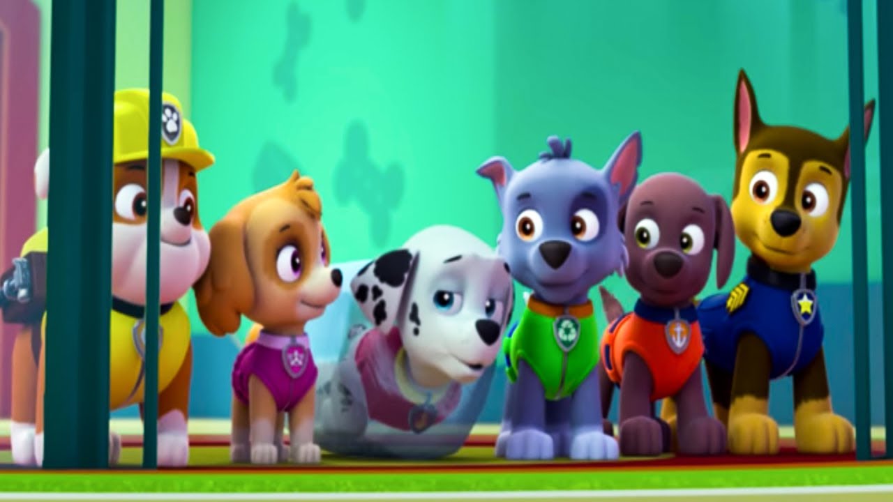 paw patrol alphabet toy