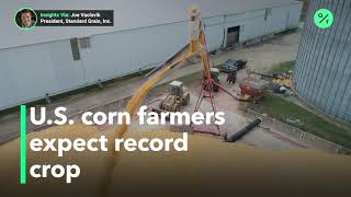 Favorable weather leads to bumper U.S. corn crop