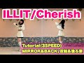 " ILLIT / Cherish " Tutorial 解説 dance Mirrored ダンス 反転