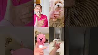 Mochi Family Funny video 😂😂😂