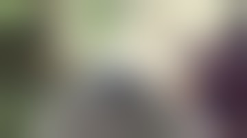 Building wooden Recurve Bow from Tree and Bow Hunting