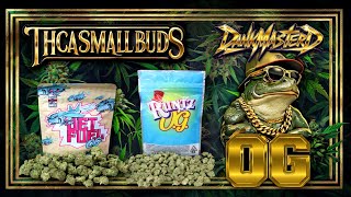 THCA Small Buds Review | Runtz OG & Jet Fuel OG (Too Cheap to Be Good?)
