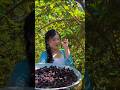 First Time Eating Delicious Mulberry #satisfying #mulberries #shorts