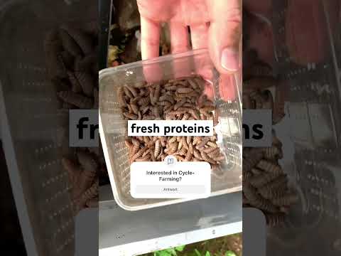 Transforming Food Waste