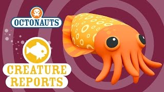 The Octonauts: Cuttlefish thumbnail