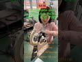 Орбитальный сварочный аппарат Беларусь купить напрямую от завода изготовителя