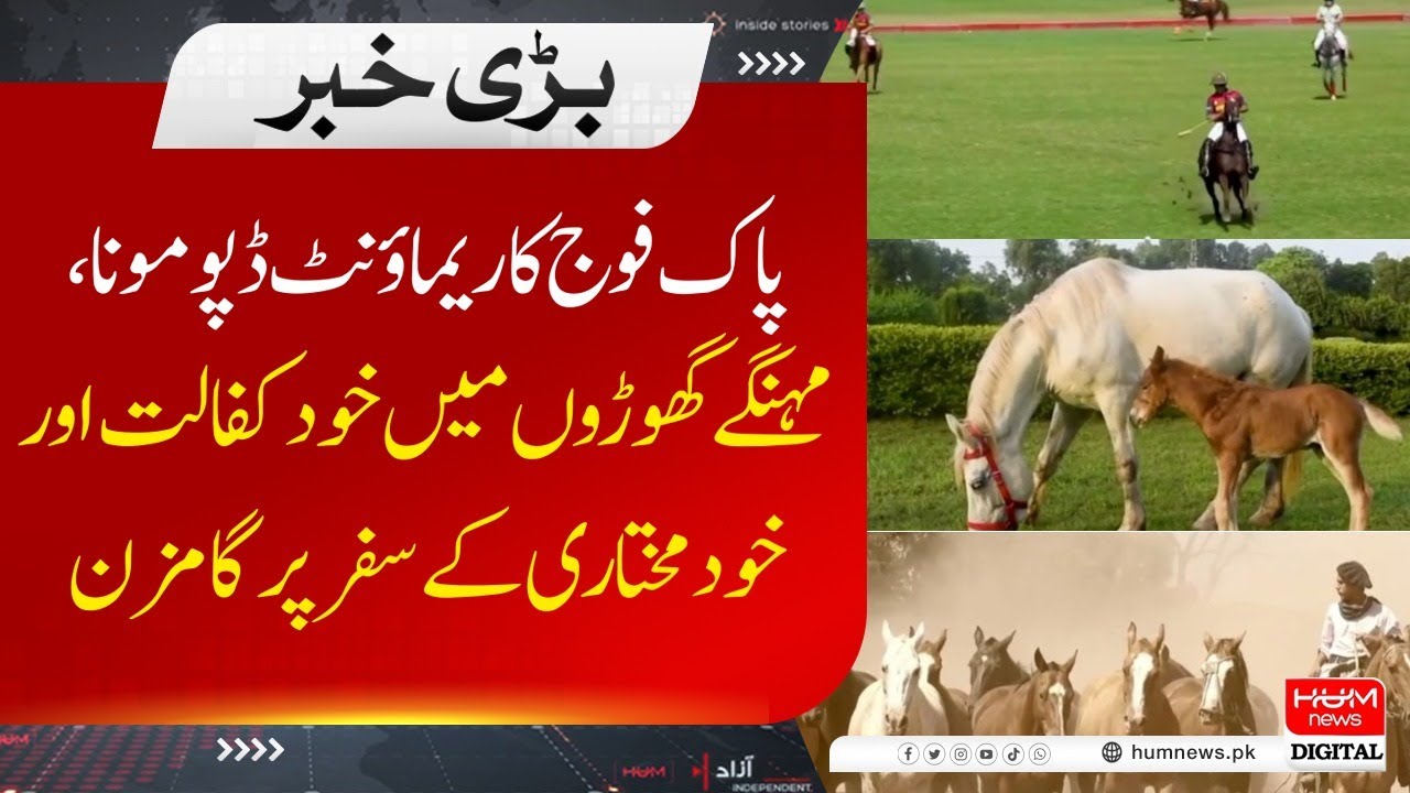 Pakistan Army's Remount Depot Mona |Journey of self-sufficiency and independence in expensive horses