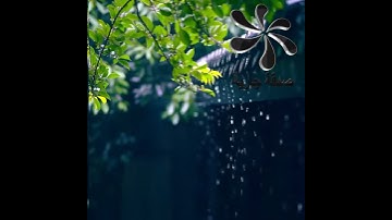 حالات واتساب من الآية 86 من سورة يوسف