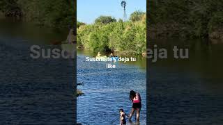 abramo y algarrobo del aguila la pampa #argentina #travel #patagonia #turismo #viajes #lapampa