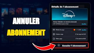 Comment Annuler Labonnement Disney Plus Arrêter La Facturation Disney