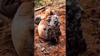 ПОДНЯЛ СХРОН КОЛЛЕКЦИОНЕРА! #находки #коп #новости