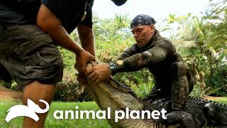 Jimmy And Paul Vs. The Biggest Gator Ever Gator Boys Animal Planet