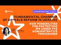 Fundamental Chamber of Appeals reform in Ukraine | Webinar on June 22