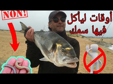 فيديو: 8 أسباب عدم اصطياد السمك