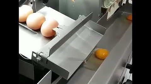 This machine can crack 1,600 eggs an hour