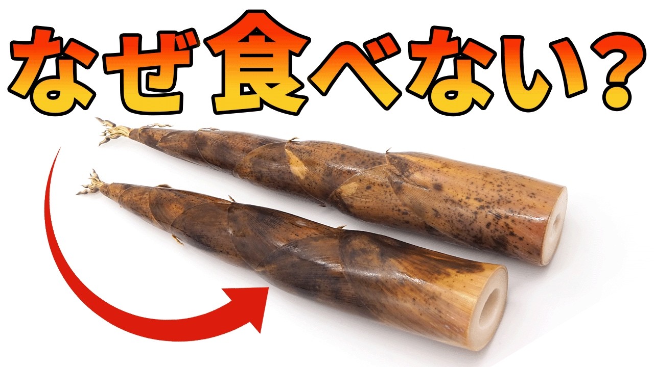 Why bamboo (bamboo shoots), which are exploding in popularity in