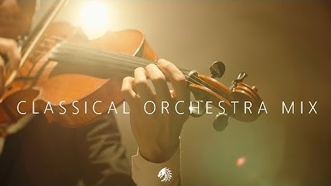 The Sound of The Violin | CLASSICAL ORCHESTRA MIX
