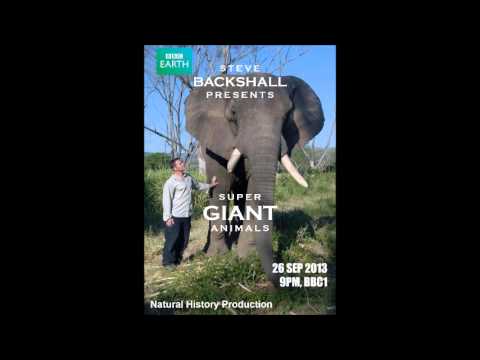 Super Giant Animals: Introduction