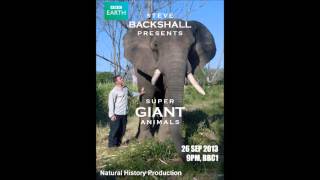 Super Giant Animals: Introduction