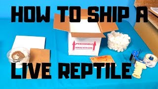 How to Ship a Live Reptile