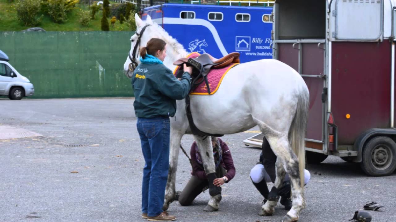 April 2016 3 Day Show in Cavan Equestrian Centre YouTube