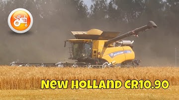 Harvest 2025 | New Holland CR10.90 combine & MacDon FD241 header