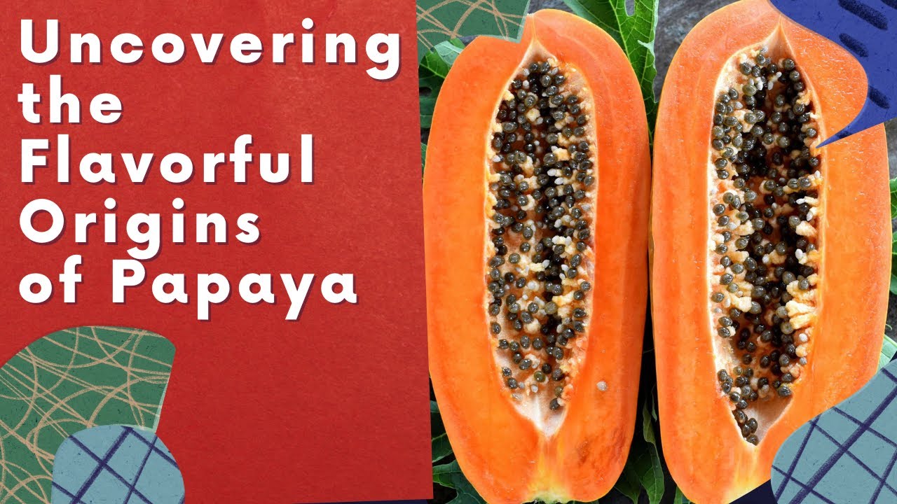 History of Papaya Tropical fruit Uncovering the Flavorful Origins