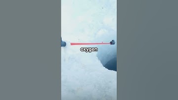 The Science of Why Some Fish Can Survive Without Oxygen for Months 🐟❄️ #biology #survival #science