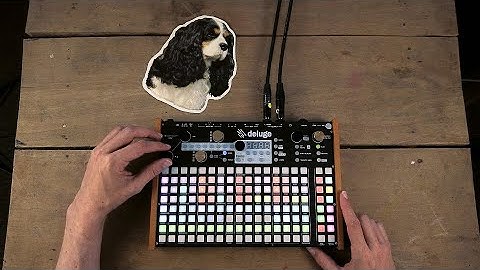 Synthstrom Deluge, A Sample & A Dog