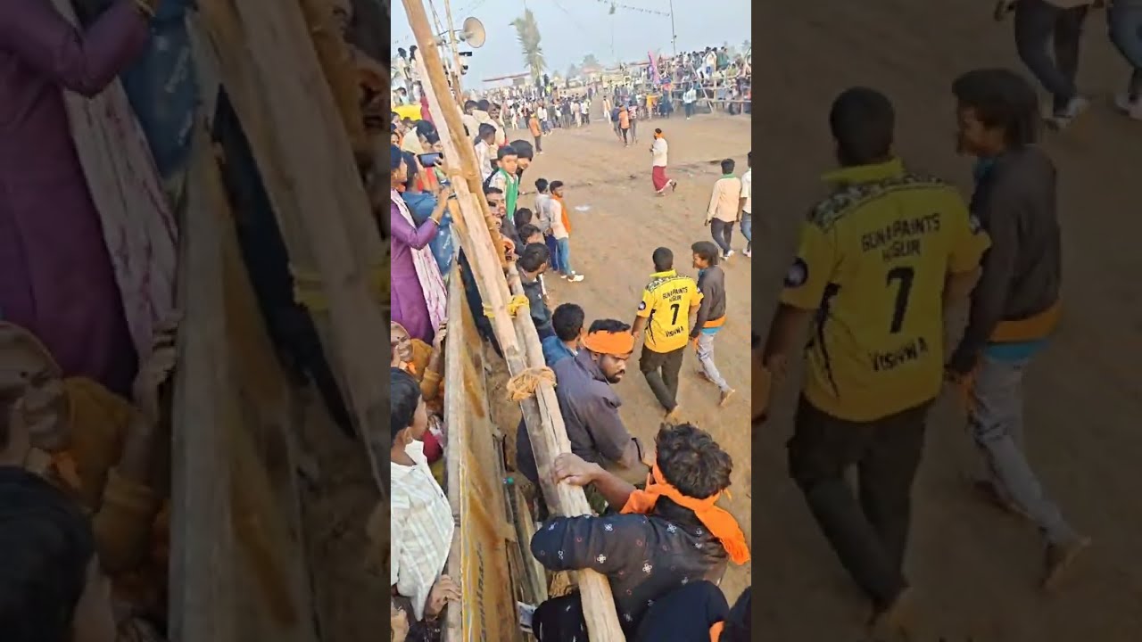 Hai friends dandalu jallikattu sankranthi అమరనారా బసవరాజు is live!