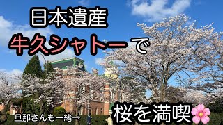 【茨城県牛久市】日本遺産牛久シャトーの桜が絶景！連続テレビ小説【らんまん】のロケにも使用されている、日本で最初の本格的ワイン醸造所