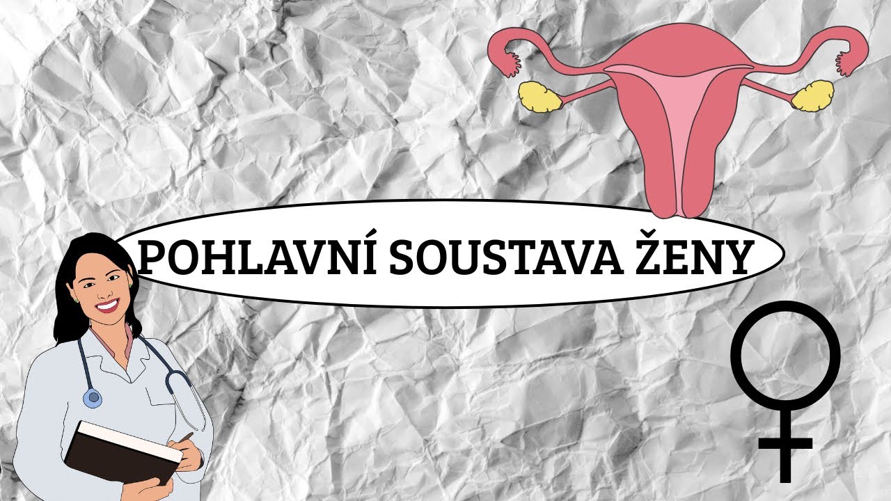 ŽENSKÁ POHLAVNÍ SOUSTAVA - vnitřní a zevní orgány