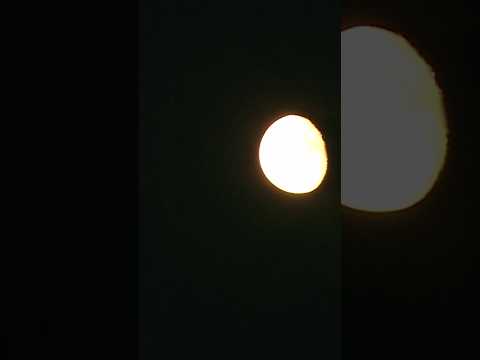 the moon has been looking pretty good lately.