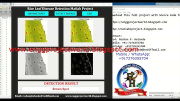 Rice Leaf Disease Detection Using Image Processing | With Source Code | Matlab Project Rice Disease