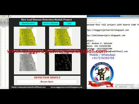 Rice Leaf Disease Detection Using Image Processing | With Source Code | Matlab Project Rice Disease