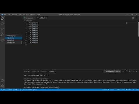 How to make a KeyLogger In Python For Begginers