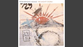 Video thumbnail of "Peter Bradley Adams - Hey Believers"