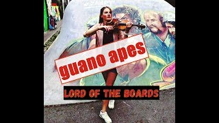 Guano Apes - lord of the boards / violin and piano cover видео